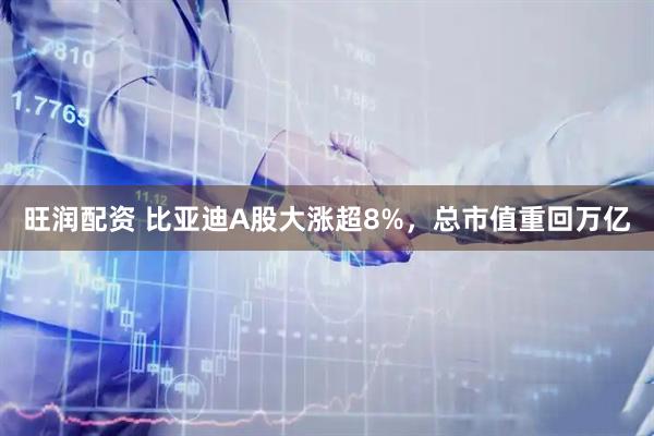 旺润配资 比亚迪A股大涨超8%,总市值重回万亿