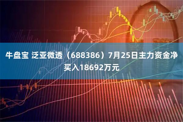 牛盘宝 泛亚微透(688386)7月25日主力资金净买入18692万元