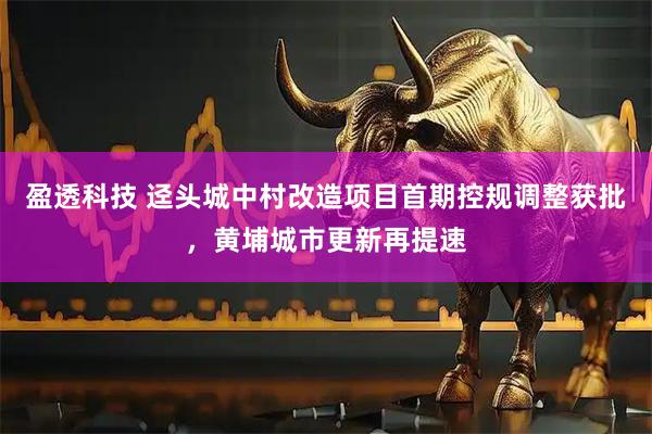 盈透科技 迳头城中村改造项目首期控规调整获批，黄埔城市更新再提速